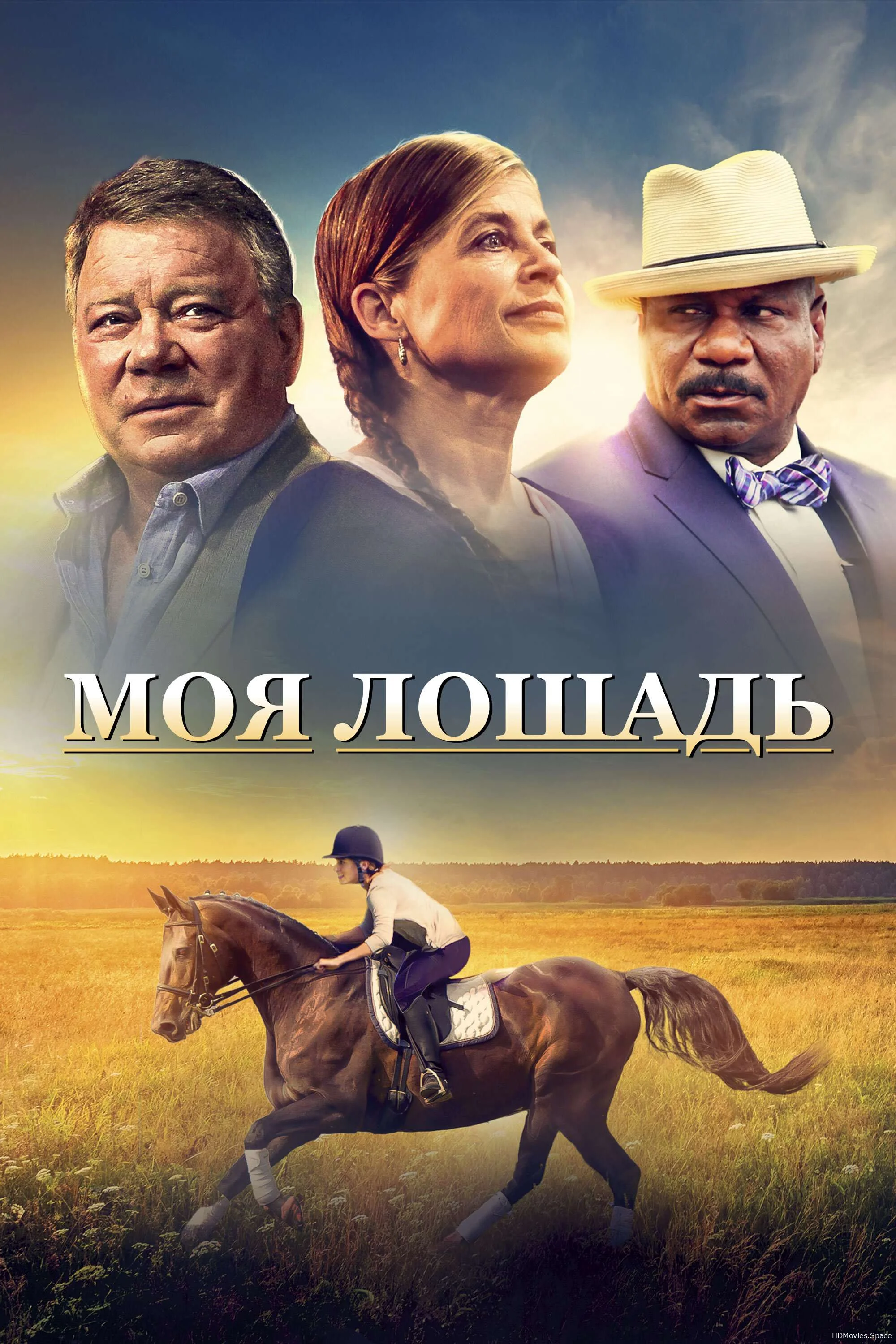 Моя лошадь 2016