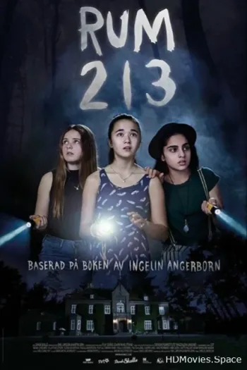 Комната 213