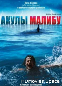 Акулы Малибу 2008