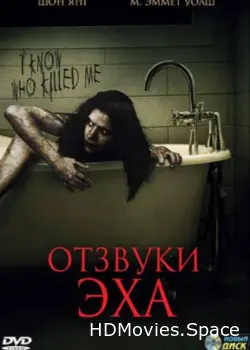 Отзвуки эха 2008