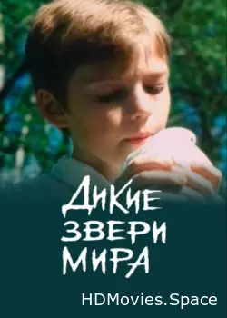 Дикие звери мира 2004