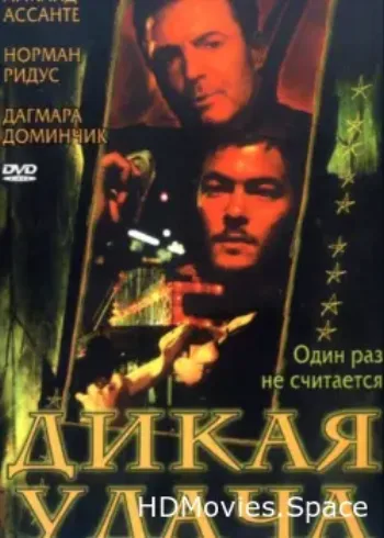 Дикая удача 2003