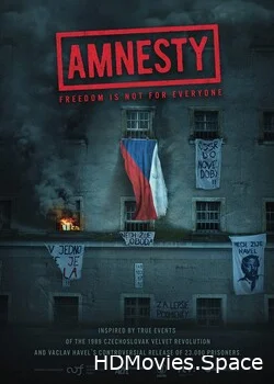 Амнистия 2019
