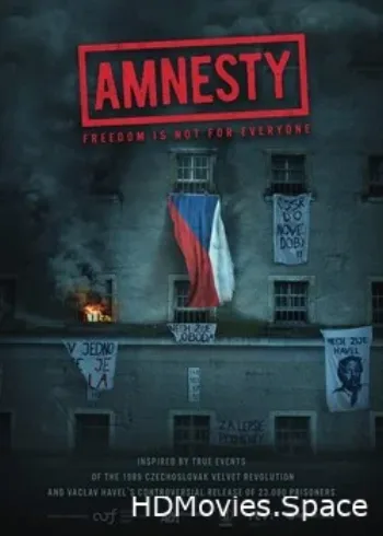 Амнистия 2019