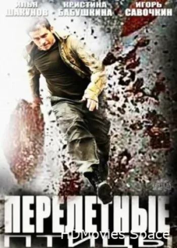 Перелётные птицы 2014