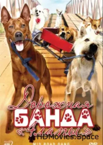 Дорожная банда «4 лапы» 2007