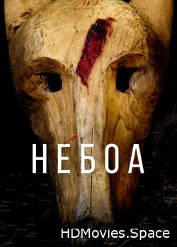 Небоа 2020