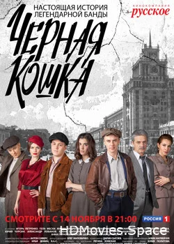Черная Кошка 2016
