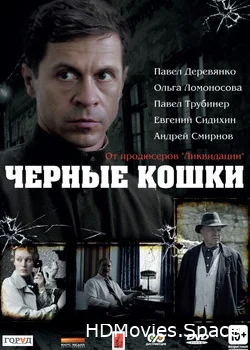 Черные кошки 2013