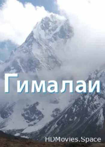 Гималаи 2010