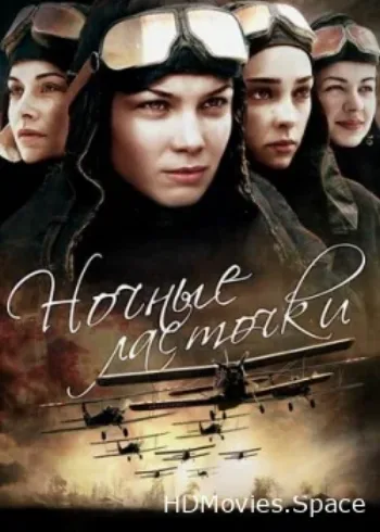 Ночные ласточки 2013