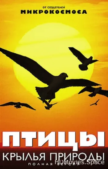 Птицы: Крылья природы 2002