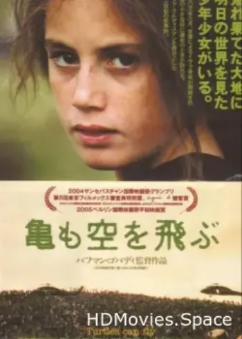И черепахи умеют летать 2004
