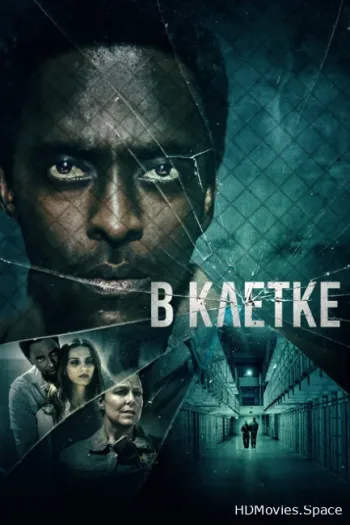 В клетке