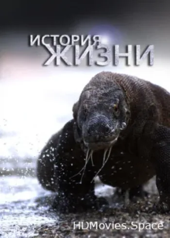 История жизни 2012