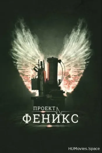 Проект Феникс 2015