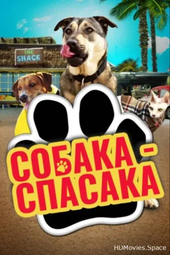 Собака-спасака 2016