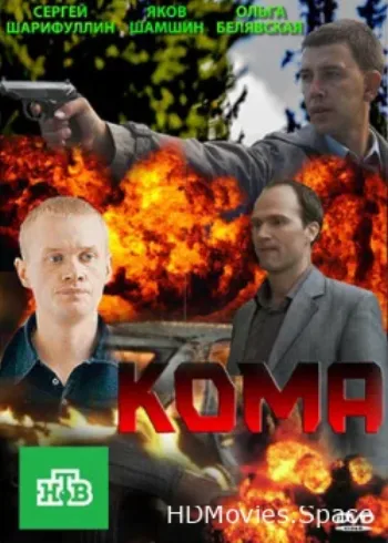 Кома 2013