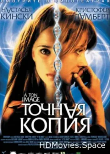 Точная копия 2004