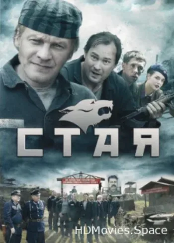 Стая 2009