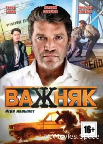 Важняк 2011