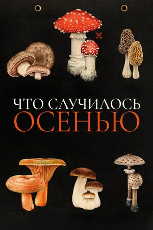 Что случилось осенью 2024