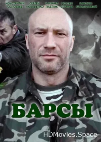 Барсы 2015