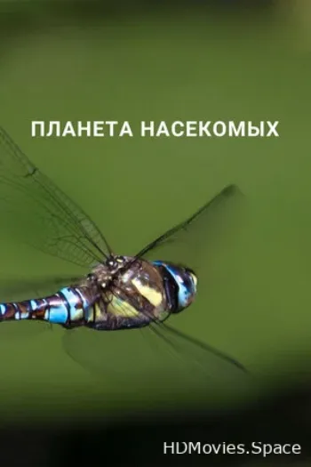 Планета насекомых 2022
