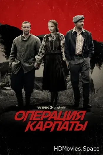 Операция «Карпаты» 2024