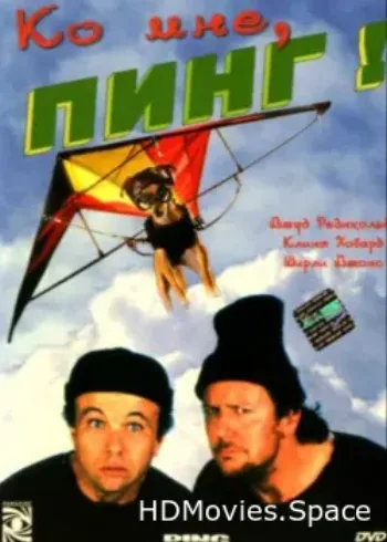 Ко мне, Пинг! 2000