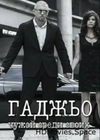 Гаджьо 2014
