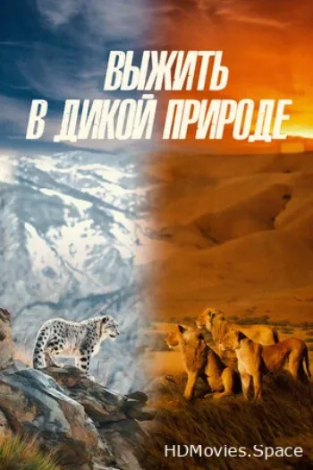 Выжить в дикой природе 2016
