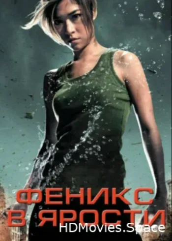 Феникс в ярости 2009