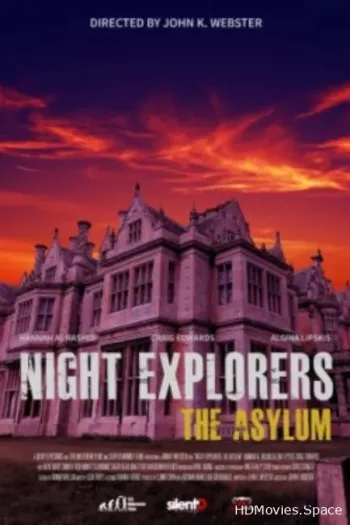 Night Explorers: The Asylum