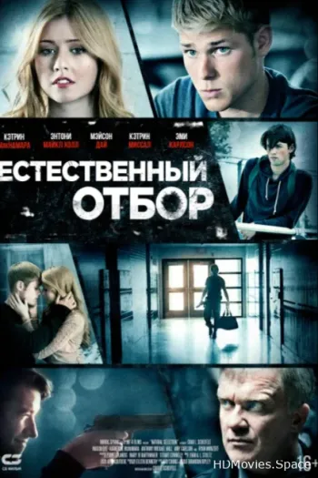 Естественный отбор