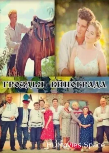 Гроздья винограда 2016