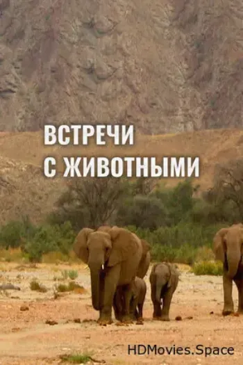 Встречи с животными 2014