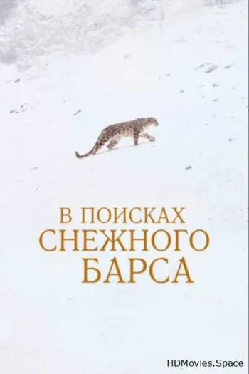 В поисках снежного барса 2021
