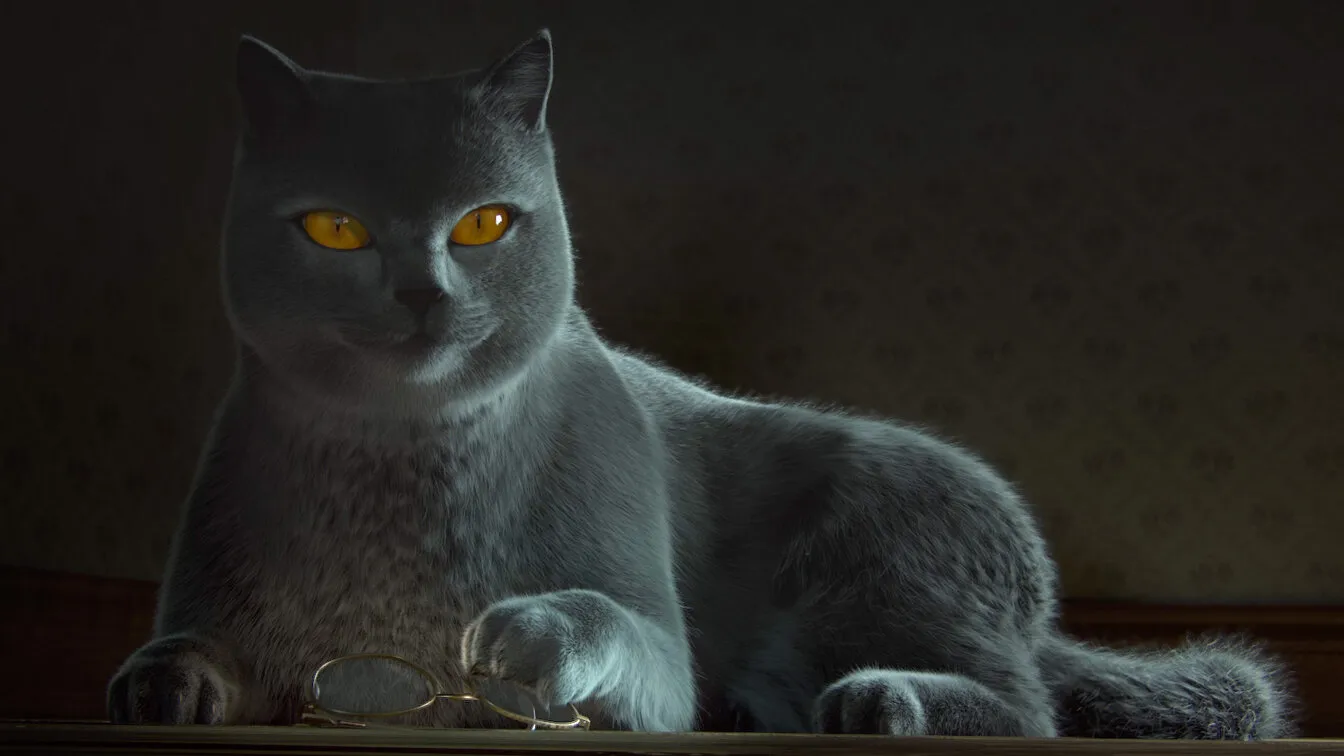 Котенок 2016