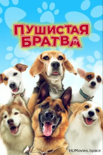 Пушистая братва