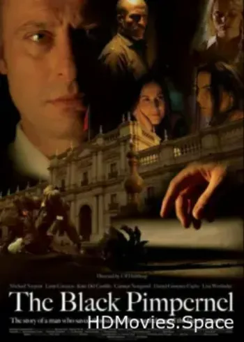 Черная гвоздика 2007