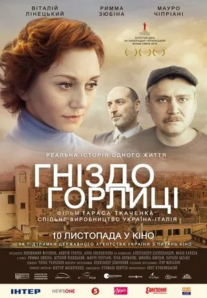 Гнездо горлицы 2014
