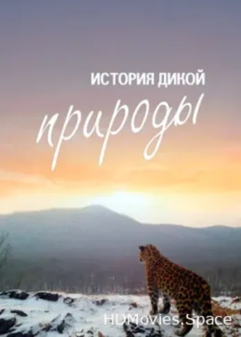 История дикой природы 2020