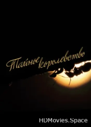 Тайное королевство 2019