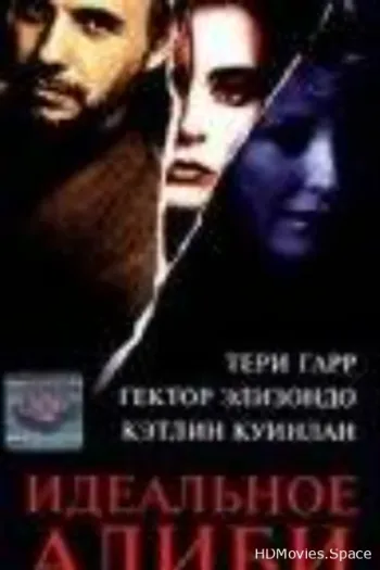 Идеальное алиби