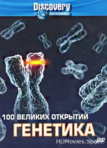 Discovery: 100 великих открытий 2004