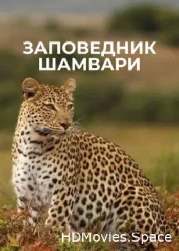 Заповедник Шамвари 2018