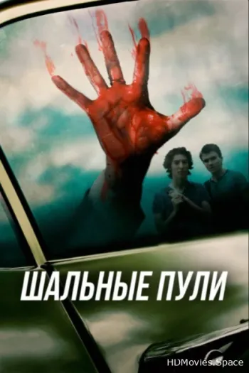 Шальные пули