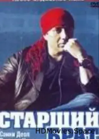 Старший брат 2007