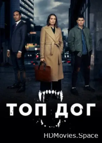 Топ дог 2020